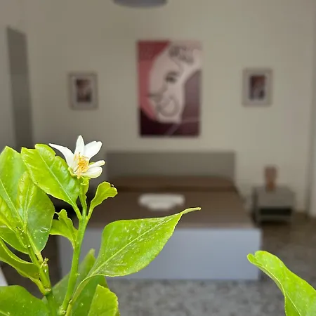 Apartment Josky *